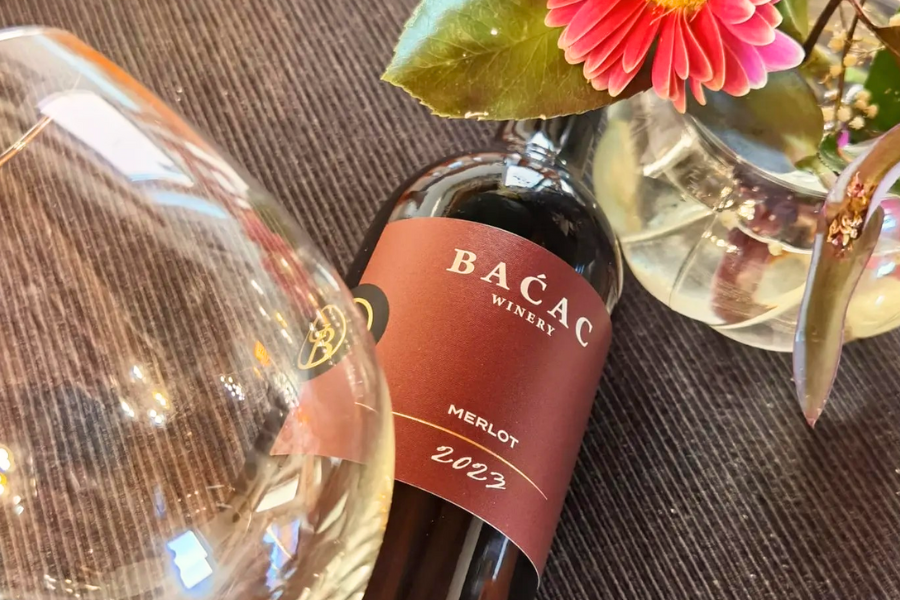 Merlot, Baćac